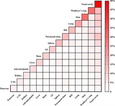 Treatment, Survival, and Prognosis of Advanced-Stage Natural Killer/T-Cell Lymphoma: An Analysis From the China Lymphoma Collaborative Group